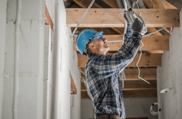Best Electric Panel Repair  in Lexico, CA